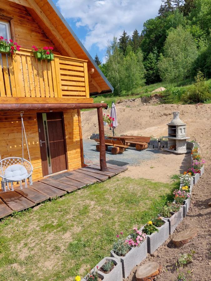 Apartament Uroczy zakątek karkonoszy Bukowiec  Zewnętrze zdjęcie